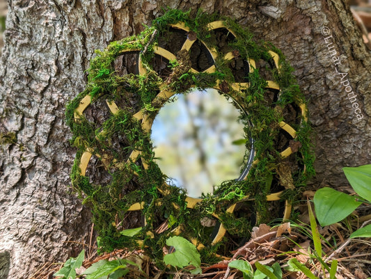 Forest Portal | Hanging Moss Mirror