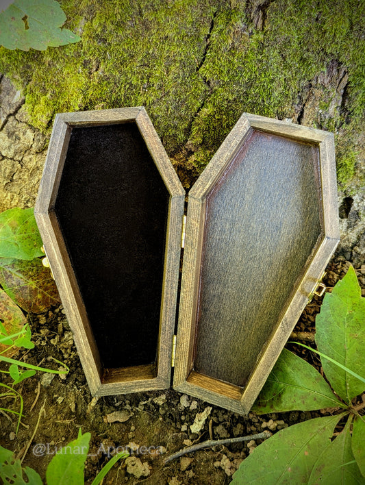 Vintage Fortune Teller Coffin Box