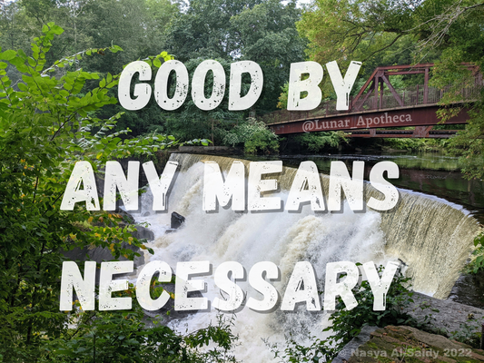 Good By Any Means Necessary Motivational Poster