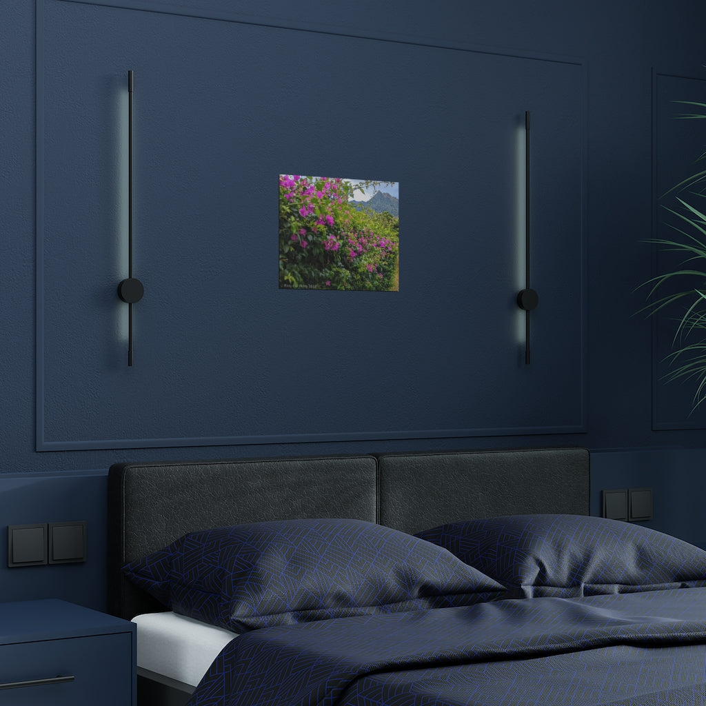 The Mountain's Biggest Fans