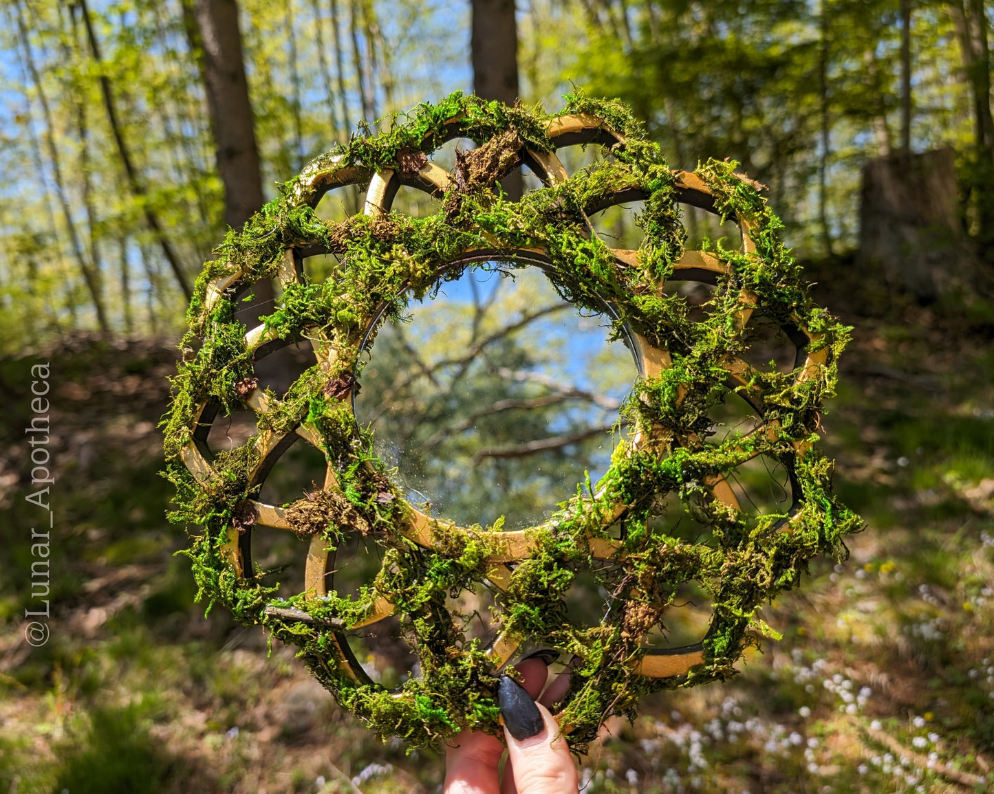 Forest Portal | Hanging Moss Mirror