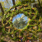 Forest Portal | Hanging Moss Mirror