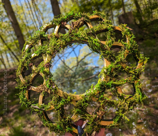 Forest Portal | Hanging Moss Mirror