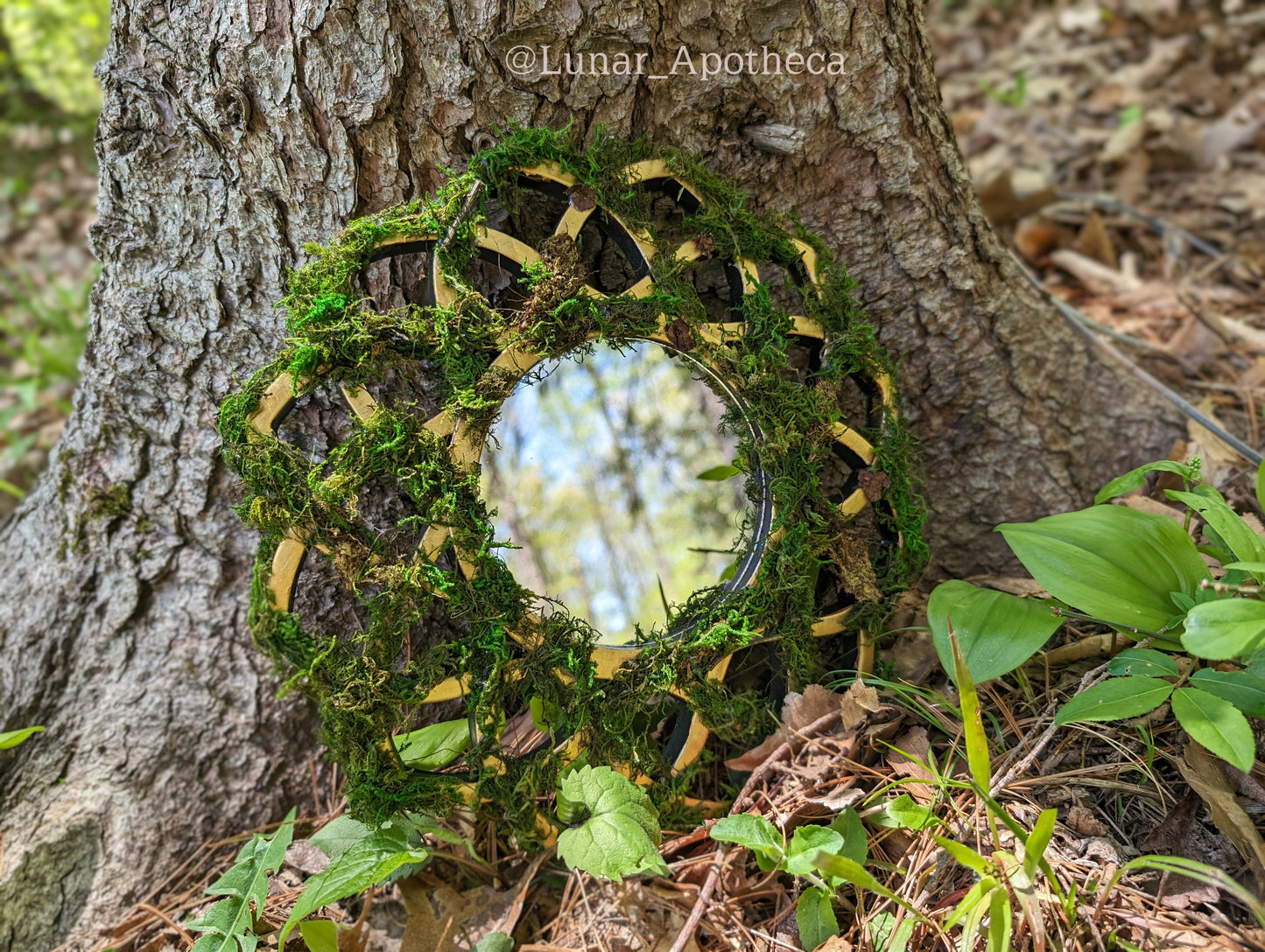 Forest Portal | Hanging Moss Mirror