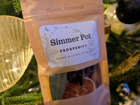 Prosperity Simmer Pot