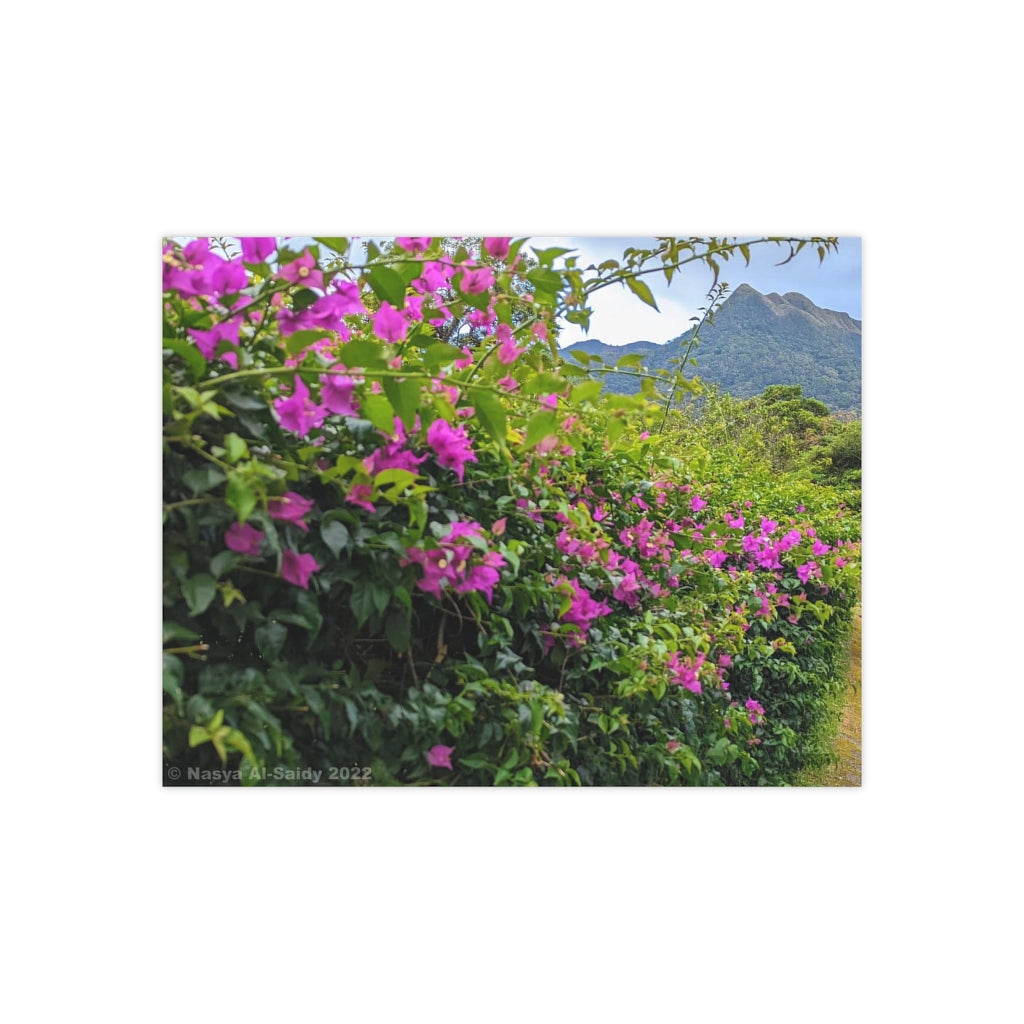 The Mountain's Biggest Fans