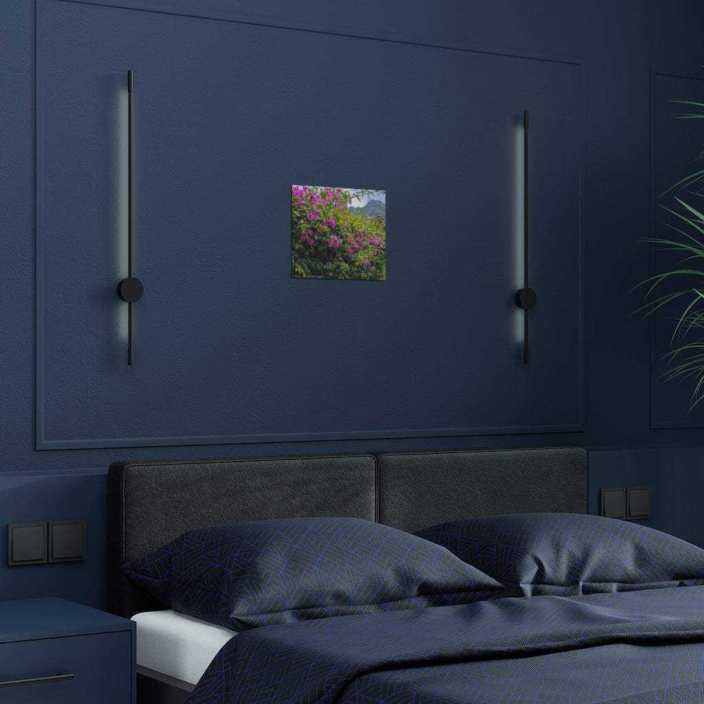 The Mountain's Biggest Fans