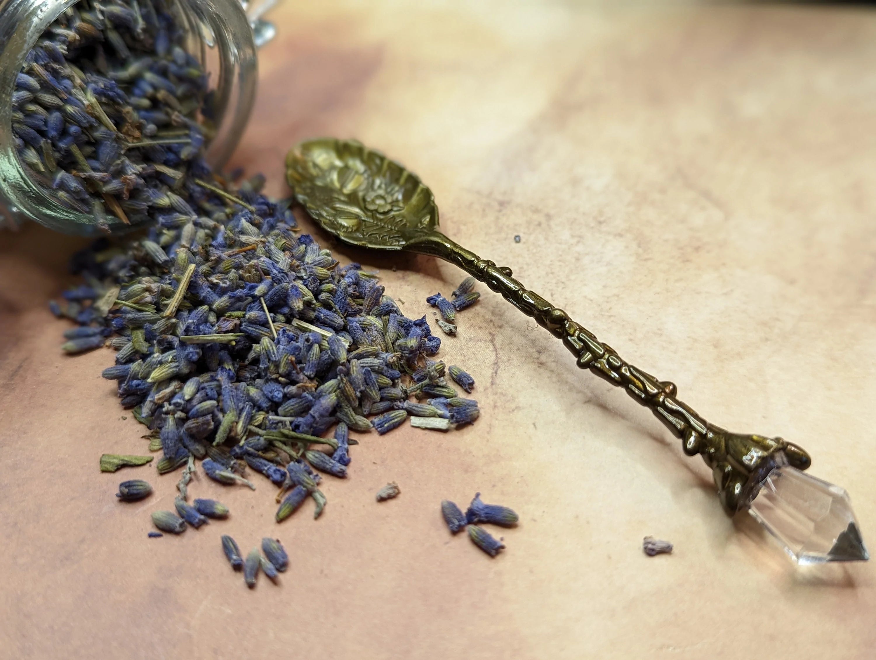 SereniTea Health Boosting Herbal Tea GIFT SET | Mullein and Rosehip